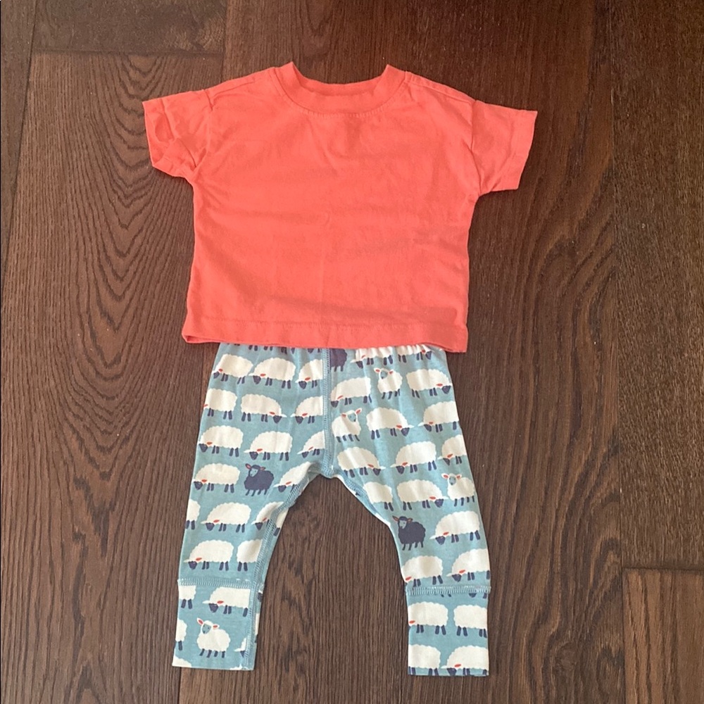 EUC - Coral T-Shirt and Sheep Print Leggings Set